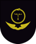 ESB-Air Cavalry Emblem.png