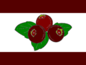 Flag of Dark Berry Islands